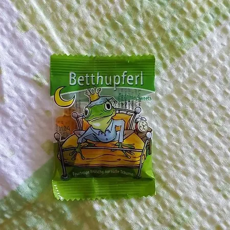 ゲストハウス Brunnenhof