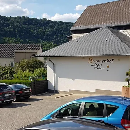 ゲストハウス Brunnenhof 4*