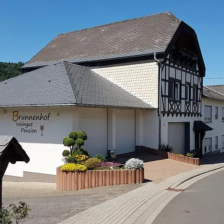 Brunnenhof ゲストハウス ブルッティヒ・ファンケル