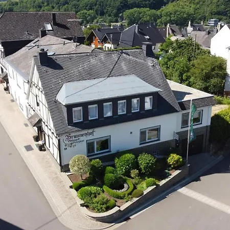 Brunnenhof Gasthof Bruttig-Fankel