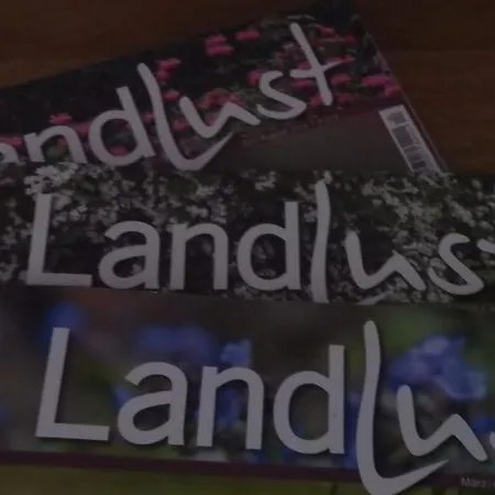 Brunnenhof ゲストハウス ブルッティヒ・ファンケル