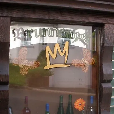 布鲁恩霍夫酒店 布鲁蒂凡科