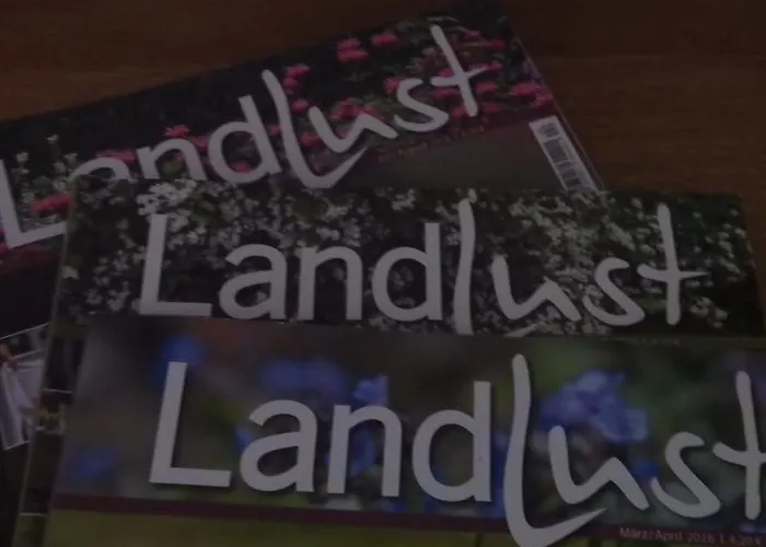 Brunnenhof Guest house Bruttig-Fankel