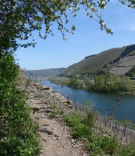 Brunnenhof 4* Bruttig-Fankel