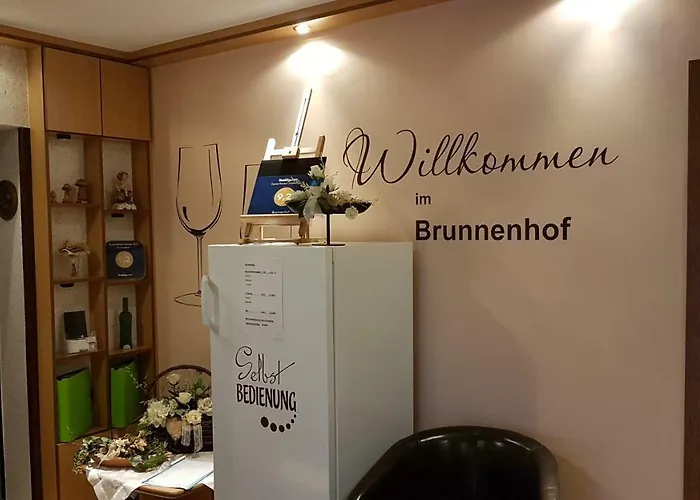 Brunnenhof Guest house 4*